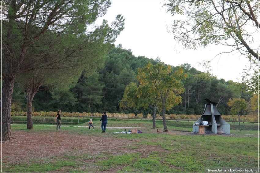 Последний день лета — Болталка и разговоры обо всем: жизнь