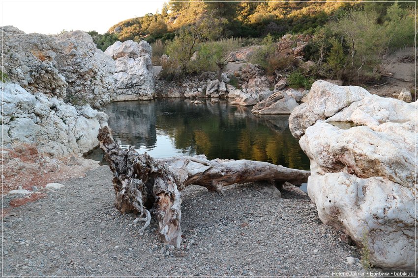 Последний день лета — Болталка и разговоры обо всем: жизнь