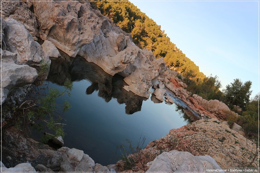Последний день лета — Болталка и разговоры обо всем: жизнь