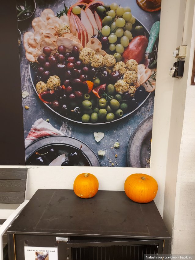 Fashion Dolls 418 — Туризм и путешествия: фотоотчеты из поездок