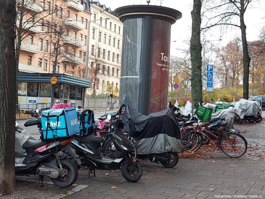 Fashion Dolls 418 — Туризм и путешествия: фотоотчеты из поездок