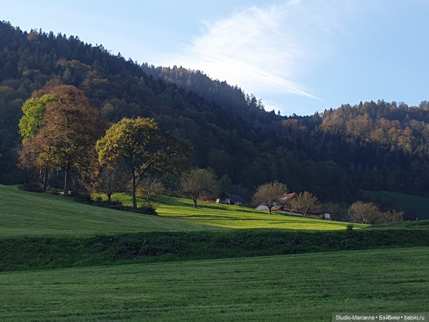 Первые пробы шитья. Куколки Ruby Red Fashion Friends