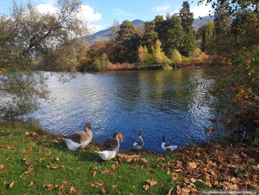 Первые пробы шитья. Куколки Ruby Red Fashion Friends