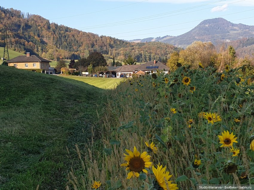 Первые пробы шитья. Куколки Ruby Red Fashion Friends