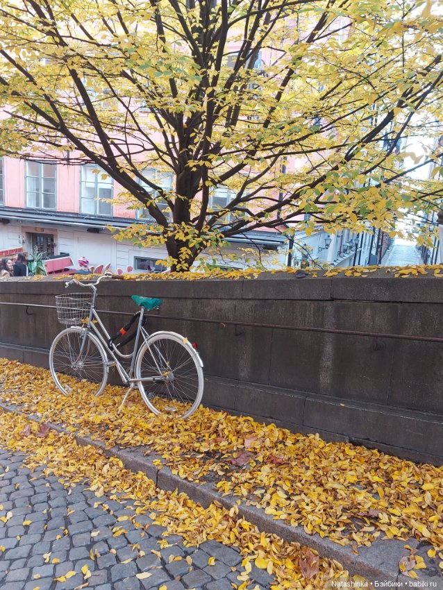 Fashion Dolls 419 — Туризм и путешествия: фотоотчеты из поездок