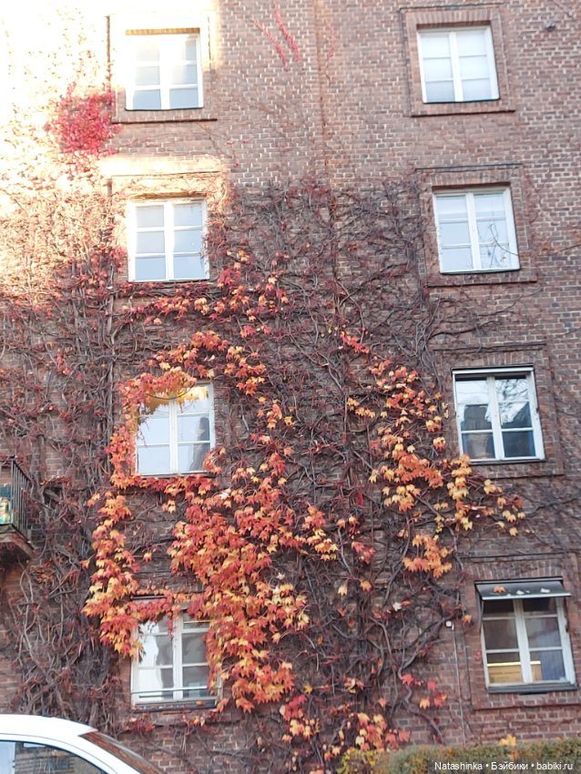 Fashion Dolls 419 — Туризм и путешествия: фотоотчеты из поездок