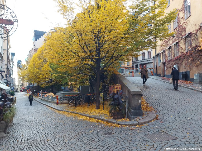 Fashion Dolls 419 — Туризм и путешествия: фотоотчеты из поездок