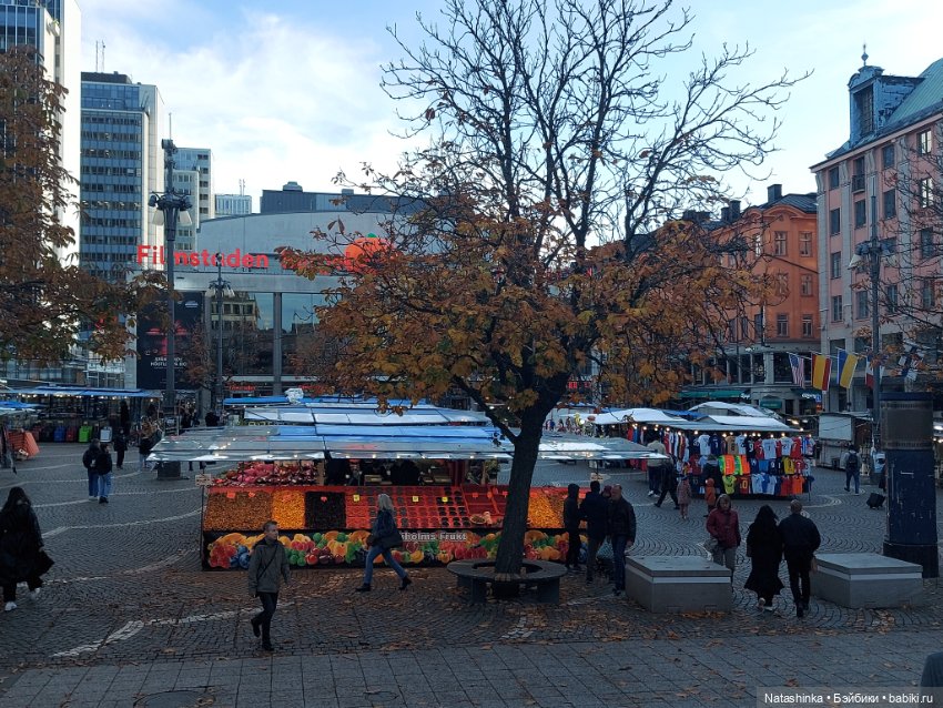 Fashion Dolls 419 — Туризм и путешествия: фотоотчеты из поездок