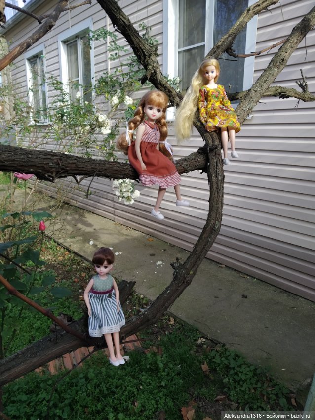 Ноябрьские розы🌹 — Куклы Takara Tomy (Такара): Licca (Ликка)