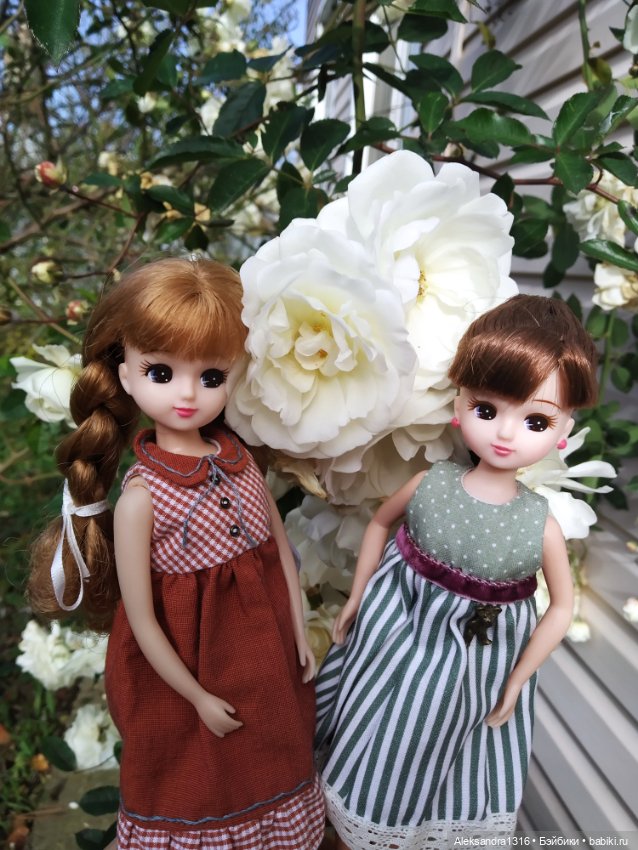 Ноябрьские розы🌹 — Куклы Takara Tomy (Такара): Licca (Ликка)