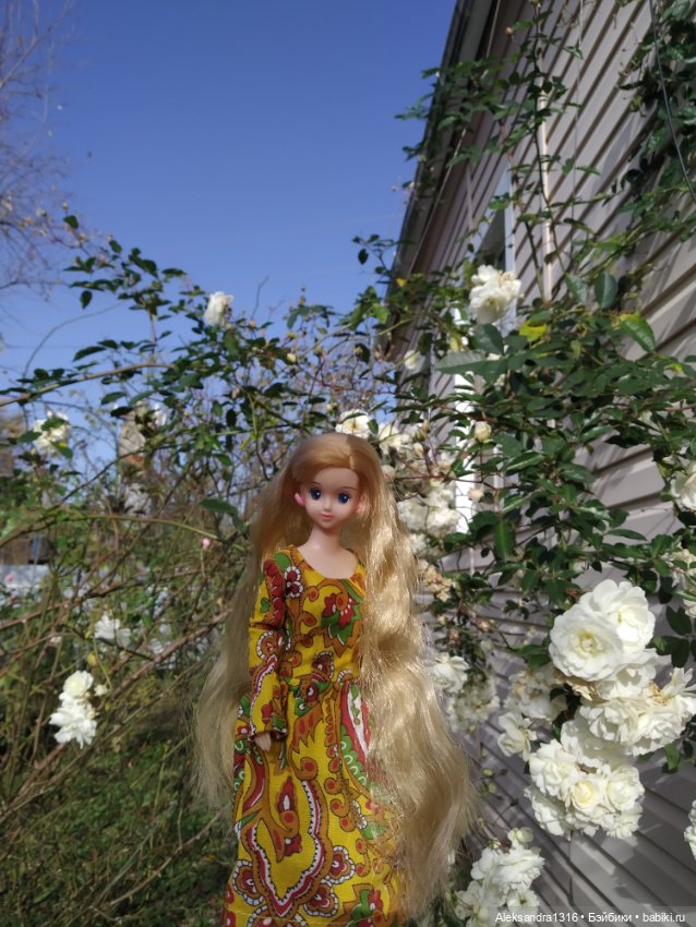Ноябрьские розы🌹 — Куклы Takara Tomy (Такара): Licca (Ликка)
