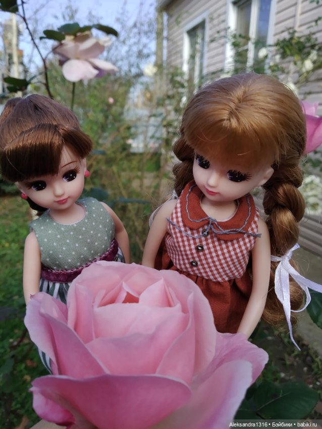 Ноябрьские розы🌹 — Куклы Takara Tomy (Такара): Licca (Ликка)