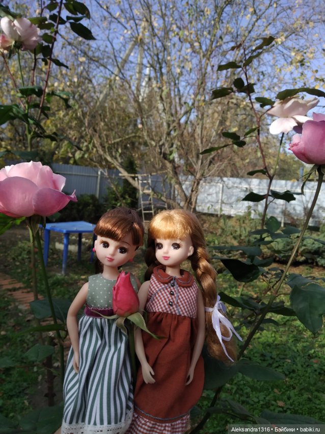 Ноябрьские розы🌹 — Куклы Takara Tomy (Такара): Licca (Ликка)