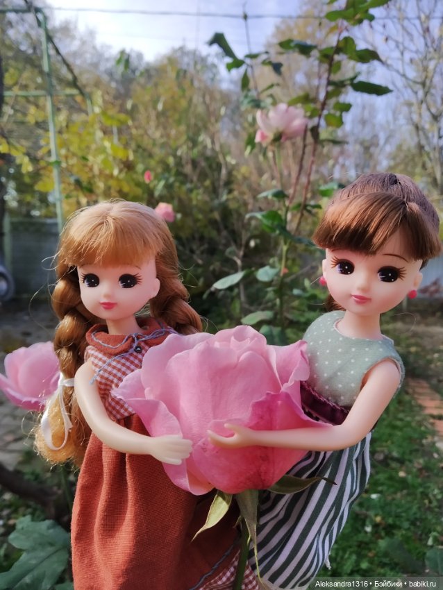 Ноябрьские розы🌹 — Куклы Takara Tomy (Такара): Licca (Ликка) (фото 6)