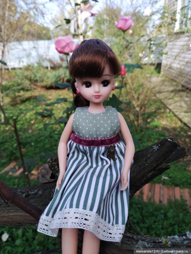 Ноябрьские розы🌹 — Куклы Takara Tomy (Такара): Licca (Ликка)