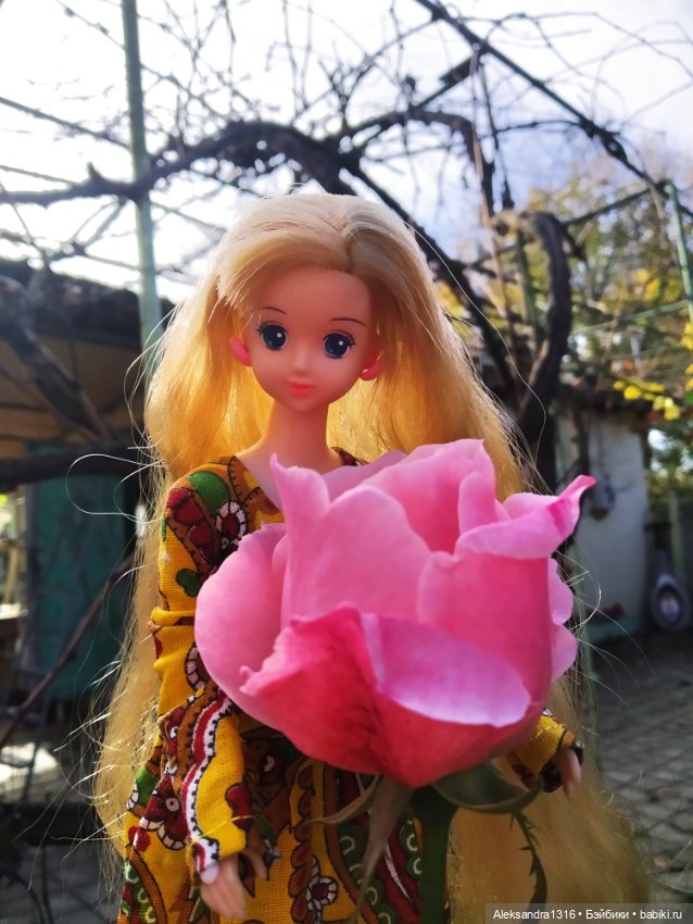 Ноябрьские розы🌹 — Куклы Takara Tomy (Такара): Licca (Ликка)