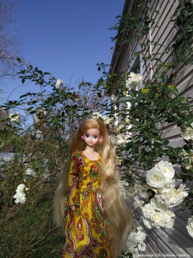 Ноябрьские розы🌹 — Куклы Takara Tomy (Такара): Licca (Ликка)