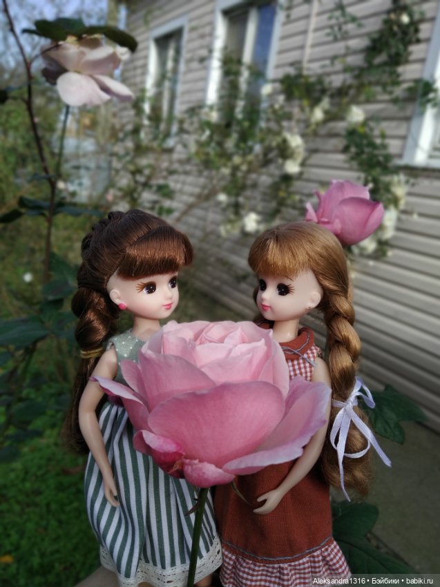 Ноябрьские розы🌹 — Куклы Takara Tomy (Такара): Licca (Ликка) (фото 5)
