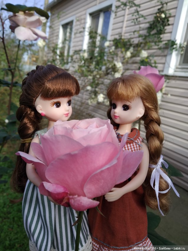 Ноябрьские розы🌹 — Куклы Takara Tomy (Такара): Licca (Ликка) (фото 3)