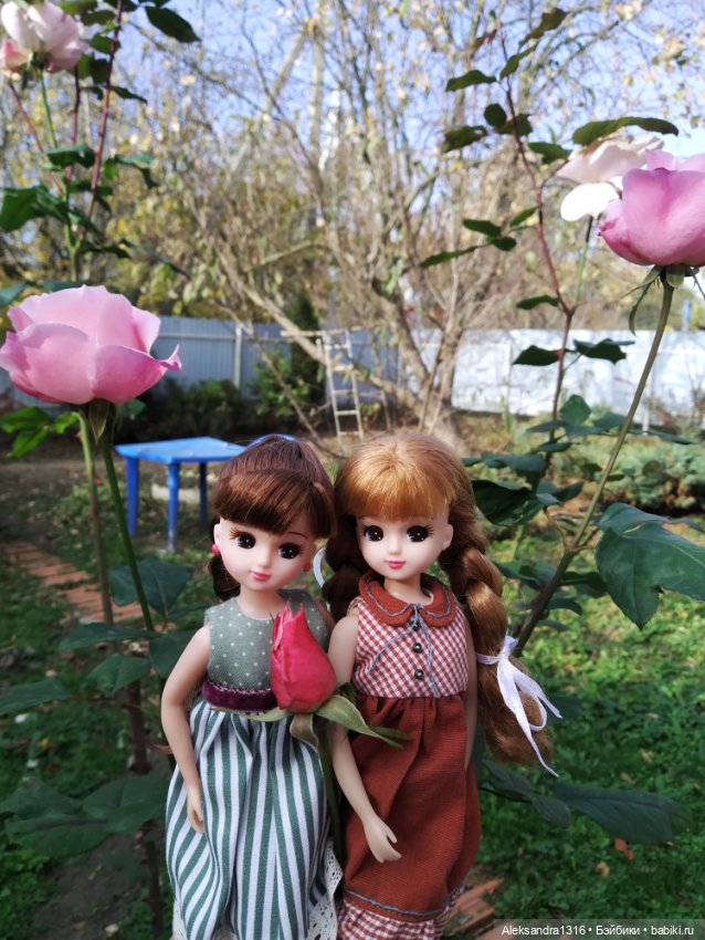 Ноябрьские розы🌹 — Куклы Takara Tomy (Такара): Licca (Ликка)