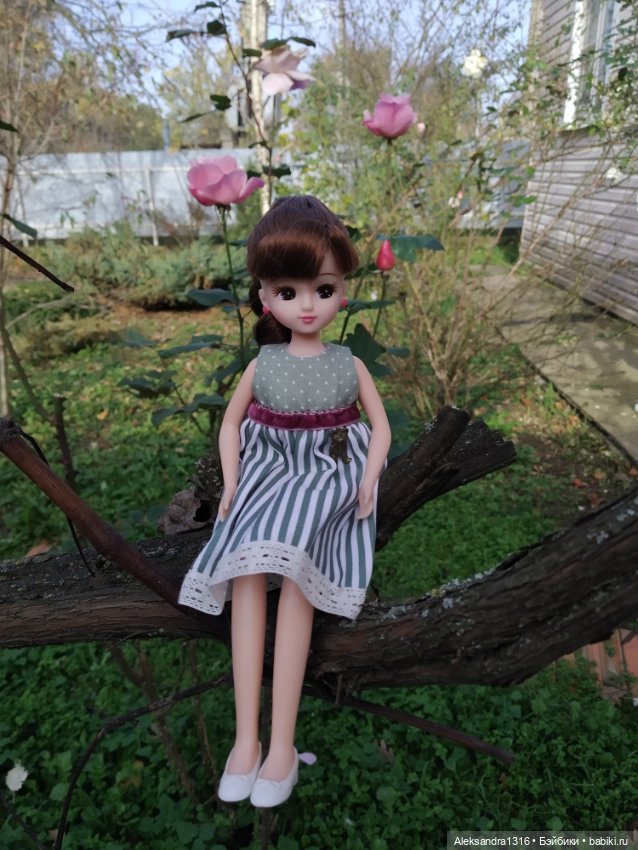 Ноябрьские розы🌹 — Куклы Takara Tomy (Такара): Licca (Ликка)