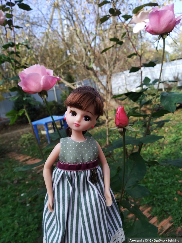 Ноябрьские розы🌹 — Куклы Takara Tomy (Такара): Licca (Ликка)