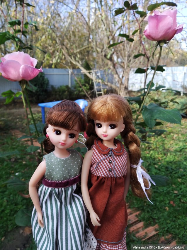 Ноябрьские розы🌹 — Куклы Takara Tomy (Такара): Licca (Ликка)