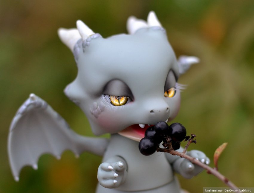 Птицы улетели, драконы прилетели (фото 5)