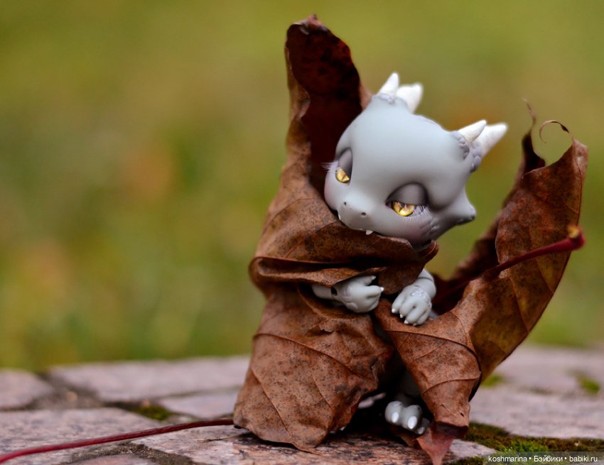 Птицы улетели, драконы прилетели