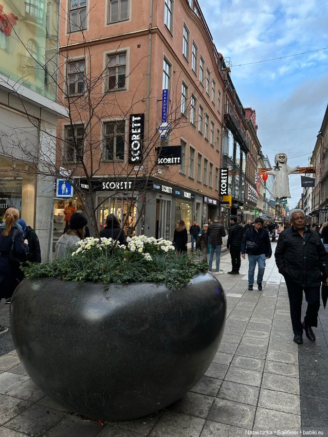 Fashion Dolls 422 — Туризм и путешествия: фотоотчеты из поездок