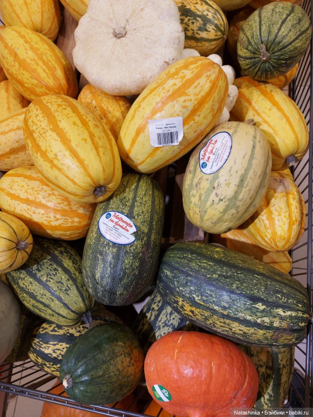 Fashion Dolls 422 — Туризм и путешествия: фотоотчеты из поездок