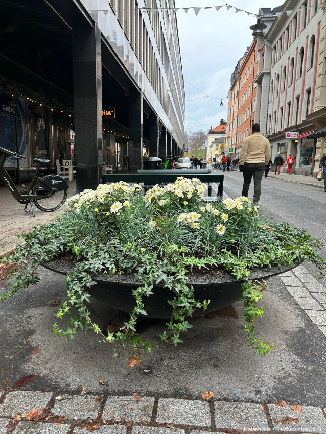 Fashion Dolls 422 — Туризм и путешествия: фотоотчеты из поездок