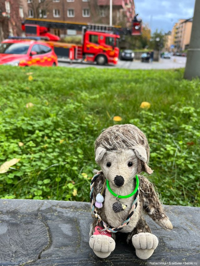 Fashion Dolls 422 — Туризм и путешествия: фотоотчеты из поездок (фото 3)