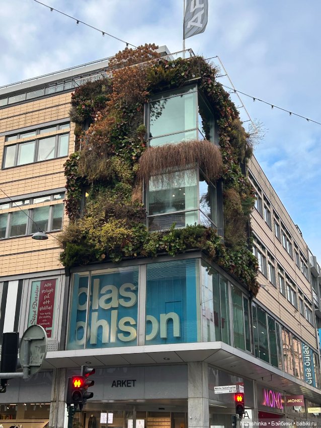 Fashion Dolls 422 — Туризм и путешествия: фотоотчеты из поездок