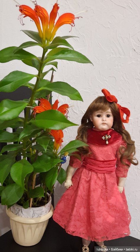 Новое платье Натали💃💖🌹 — Антикварные куклы Kestner (Кестнер) JDK: Хильда