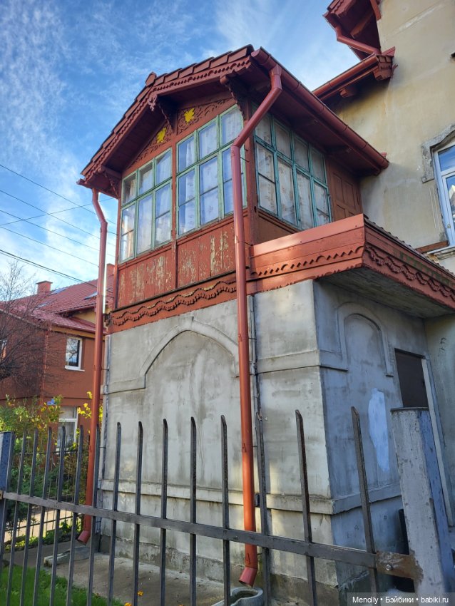 Кошачий город Зеленоградск