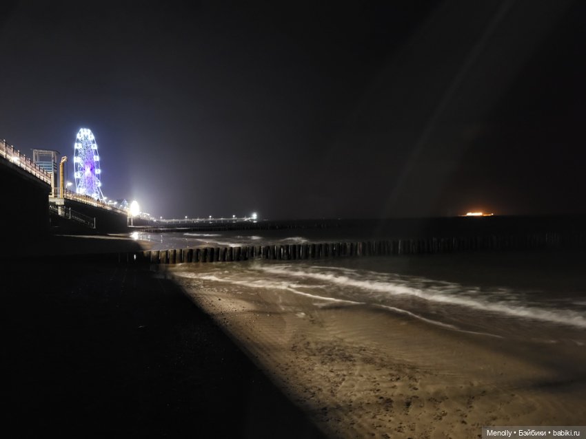 Кошачий город Зеленоградск