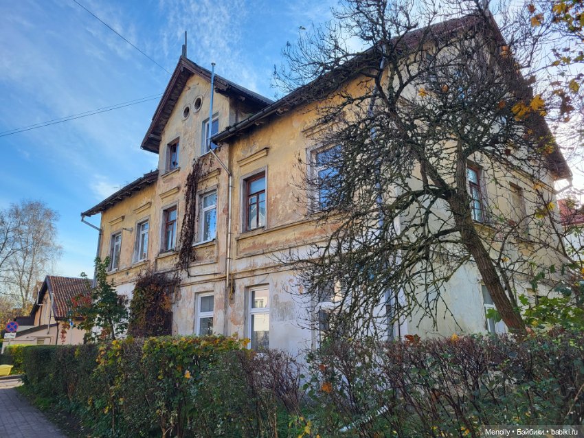 Кошачий город Зеленоградск