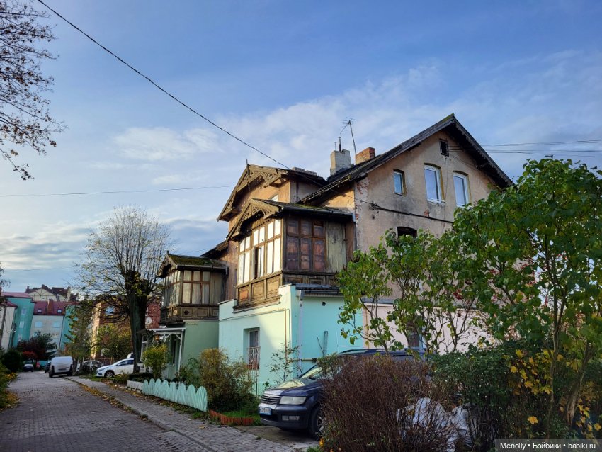 Кошачий город Зеленоградск