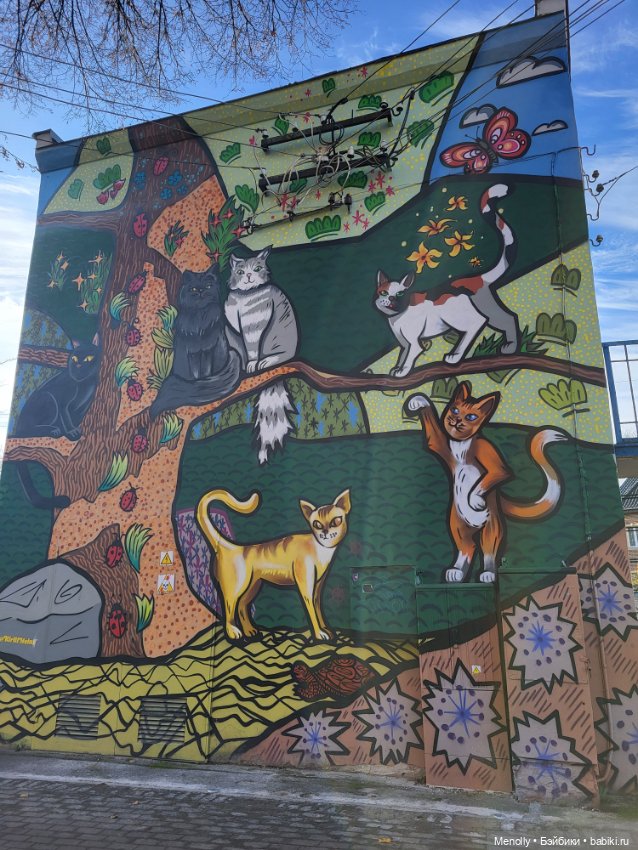 Кошачий город Зеленоградск