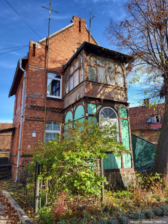 Кошачий город Зеленоградск