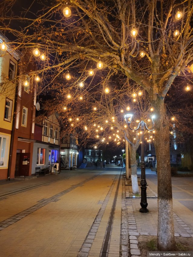 Кошачий город Зеленоградск