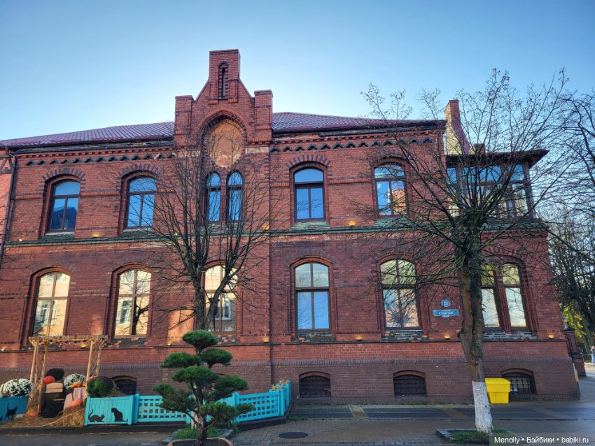 Кошачий город Зеленоградск