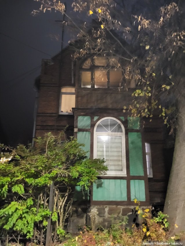 Кошачий город Зеленоградск