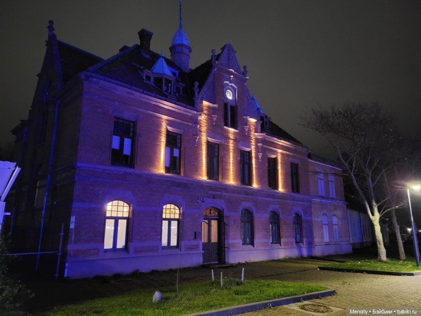 Кошачий город Зеленоградск (фото 5)