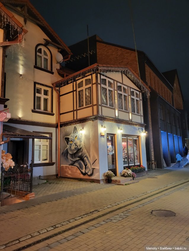 Кошачий город Зеленоградск