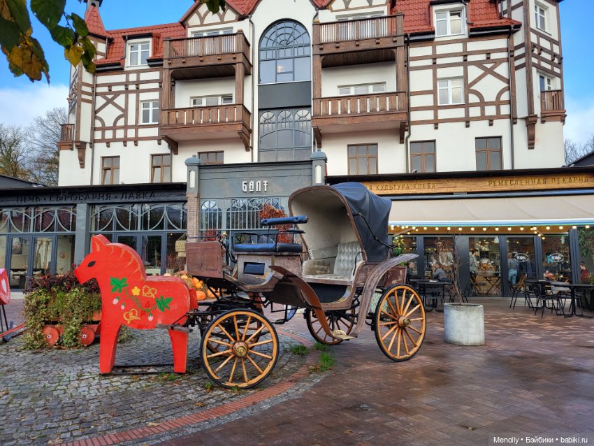 Кошачий город Зеленоградск