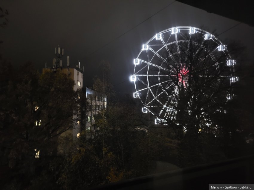 Кошачий город Зеленоградск