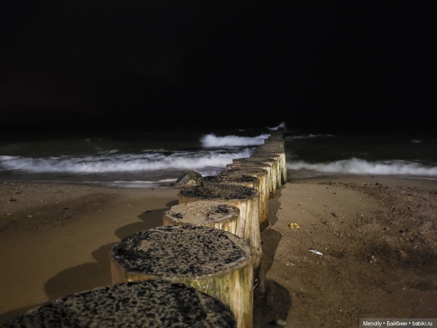 Кошачий город Зеленоградск