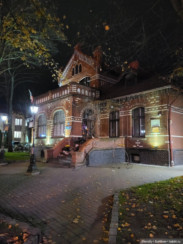 Кошачий город Зеленоградск (фото 6)